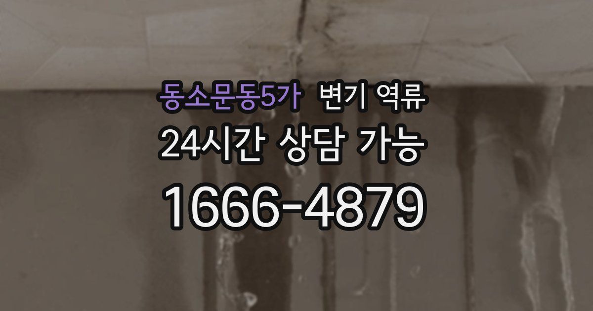 동소문동5가 변기 역류