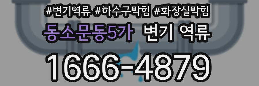 동소문동5가 변기 역류