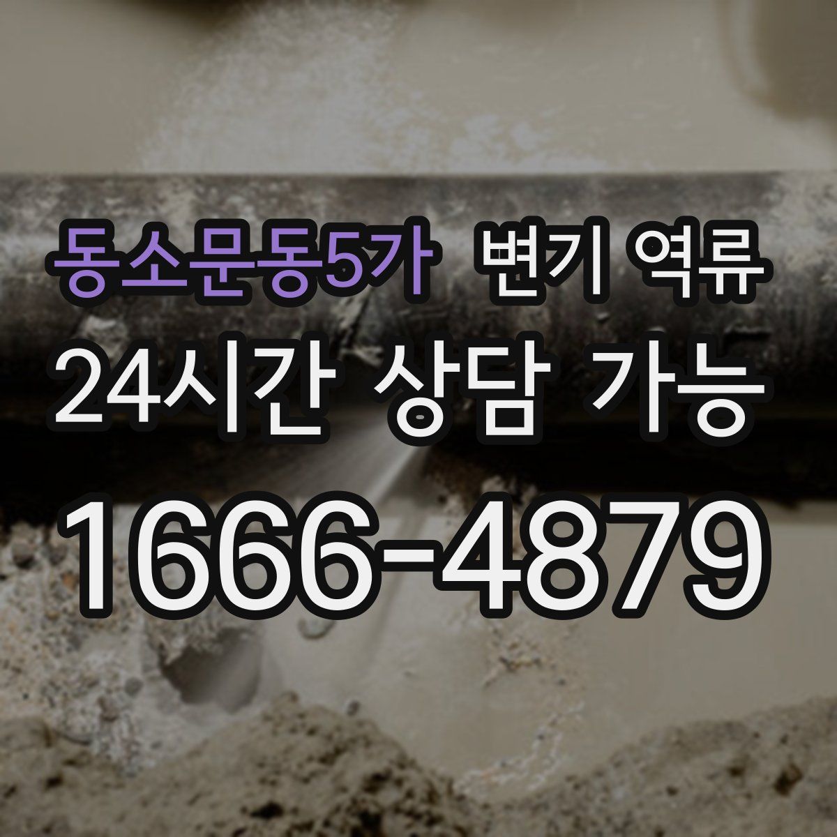 동소문동5가 변기 역류