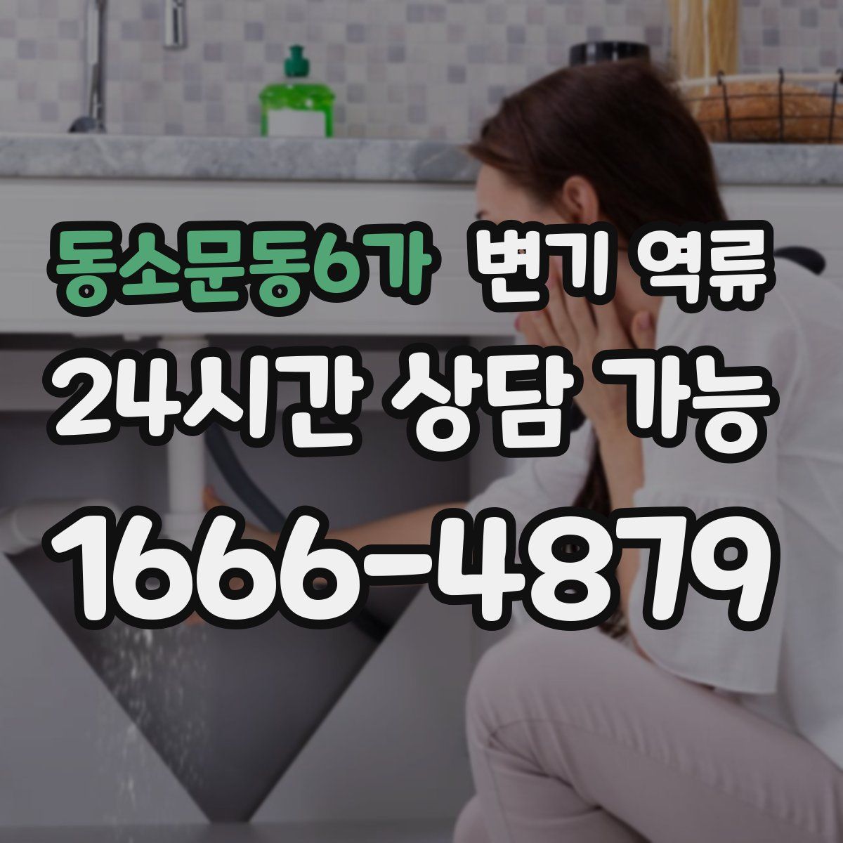 동소문동6가 변기 역류