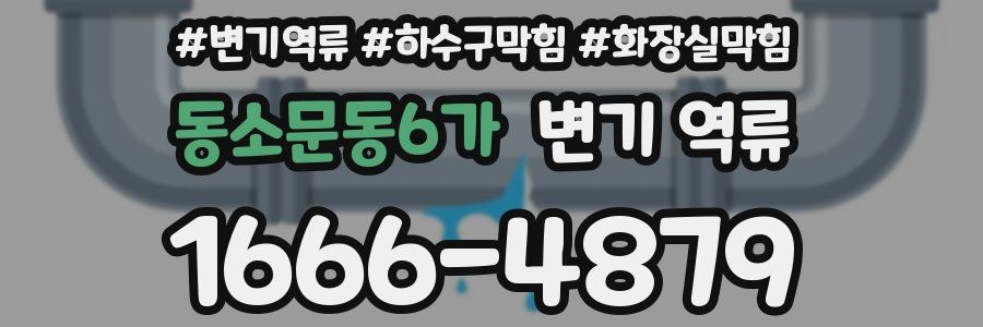 동소문동6가 변기 역류