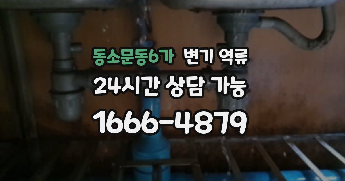 동소문동6가 변기 역류