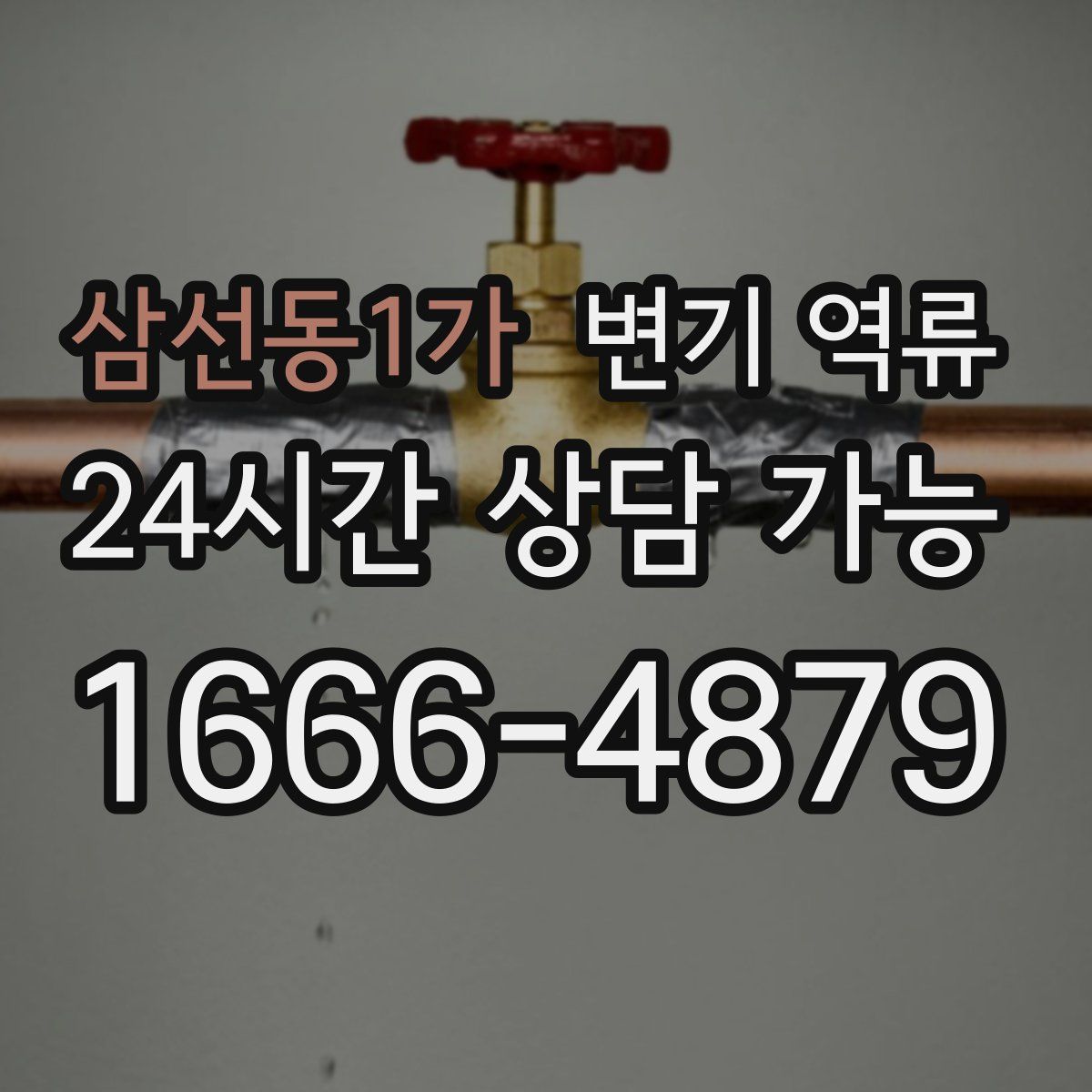 삼선동1가 변기 역류