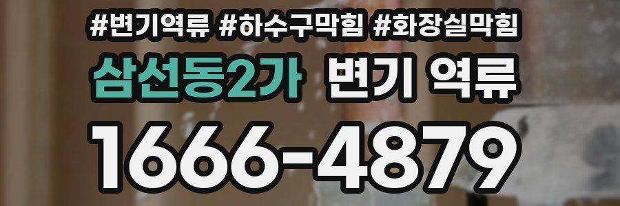 삼선동2가 변기 역류