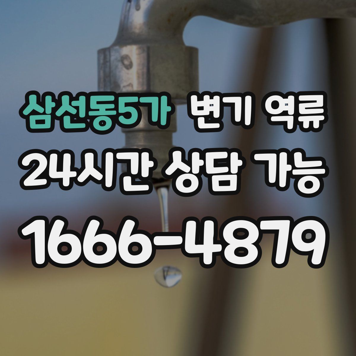 삼선동5가 변기 역류