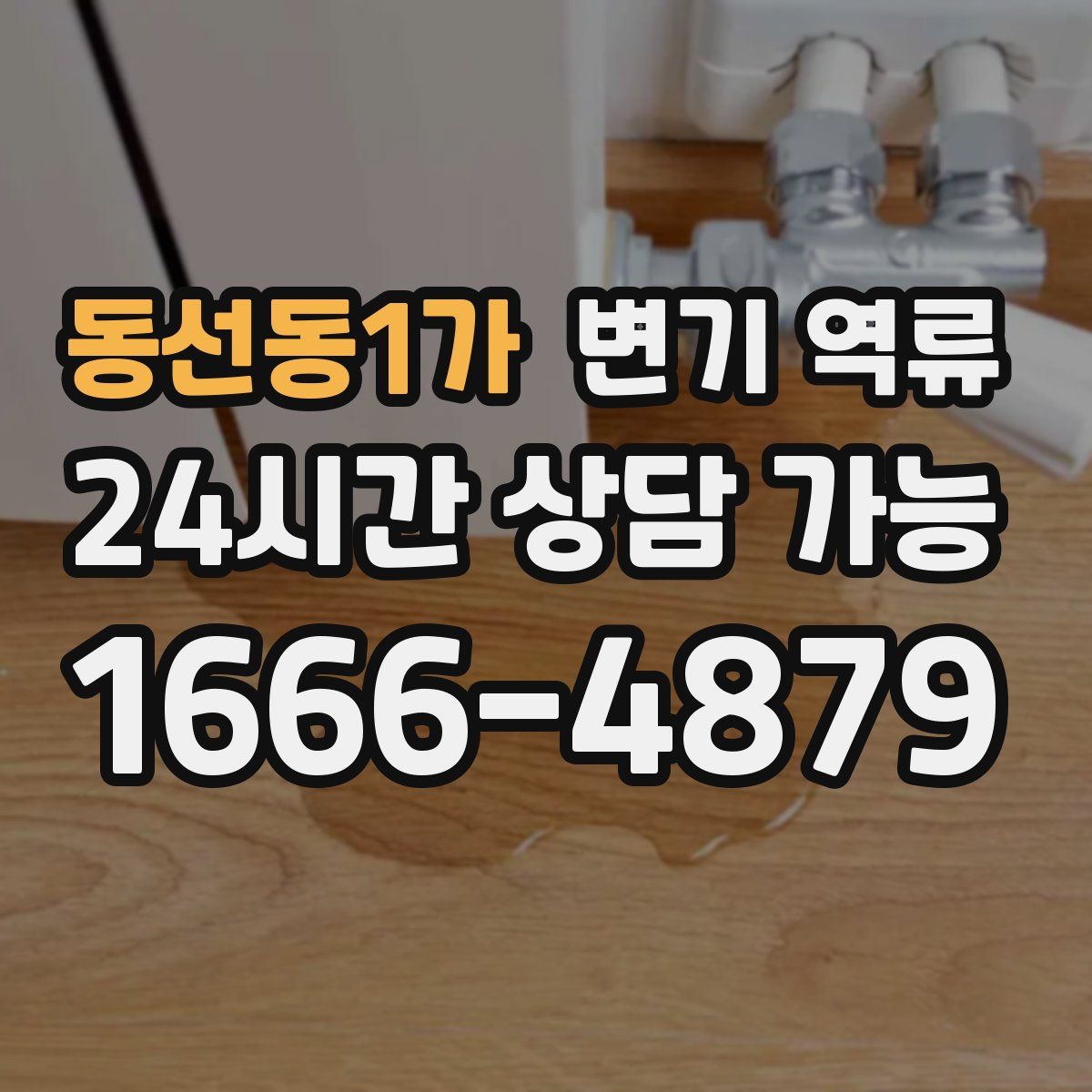 동선동1가 변기 역류