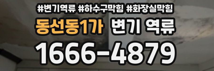 동선동1가 변기 역류