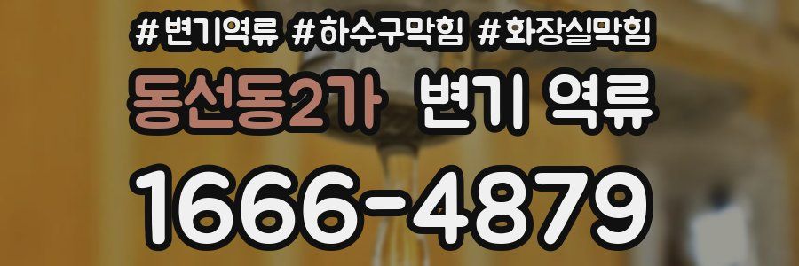 동선동2가 변기 역류