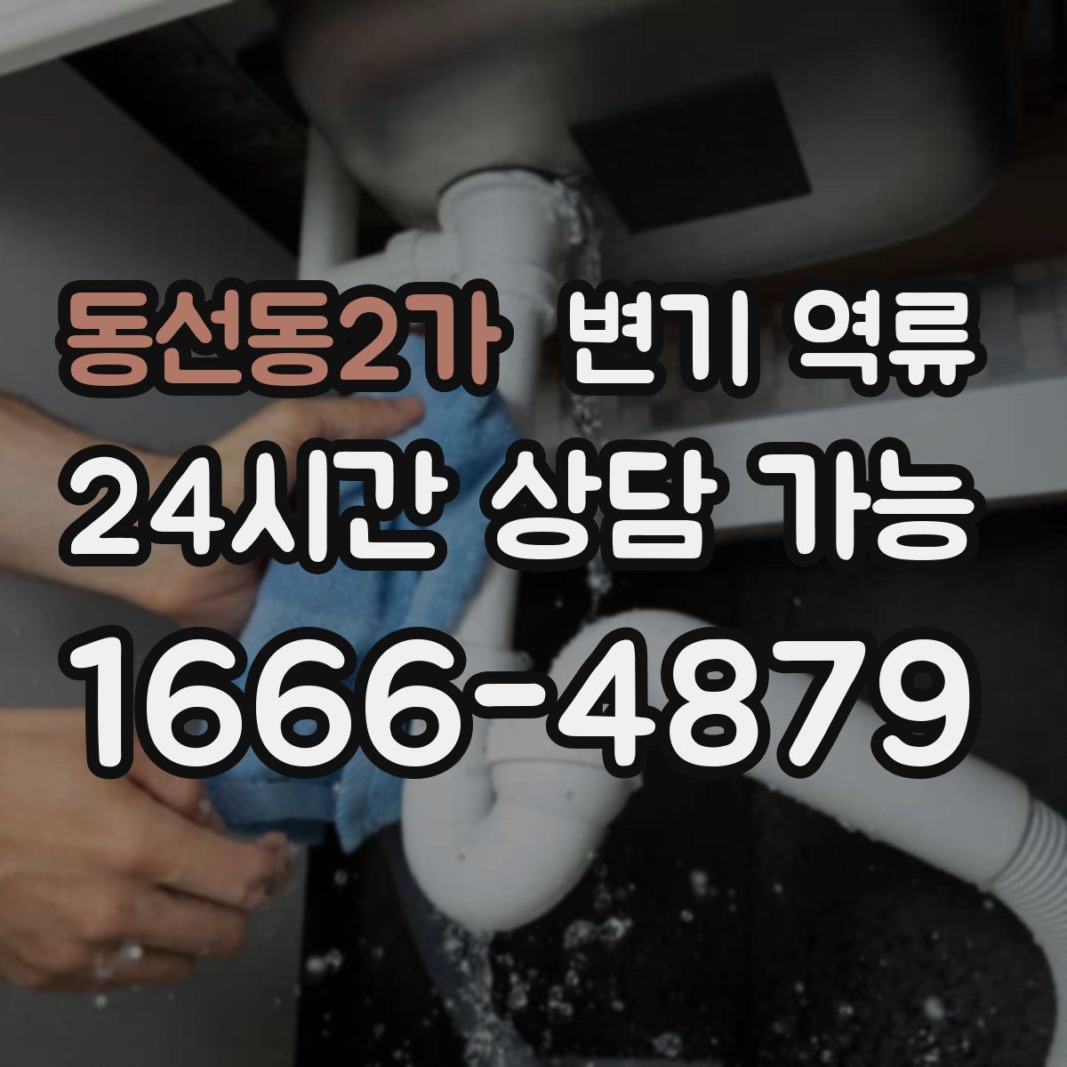 동선동2가 변기 역류