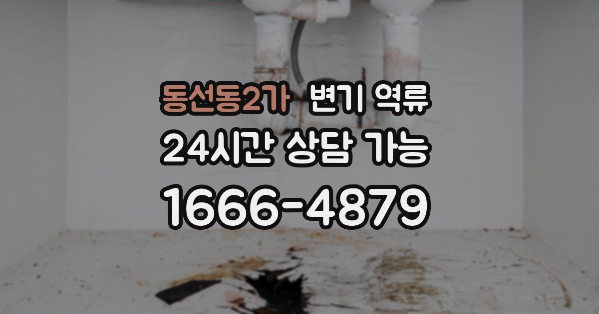 동선동2가 변기 역류