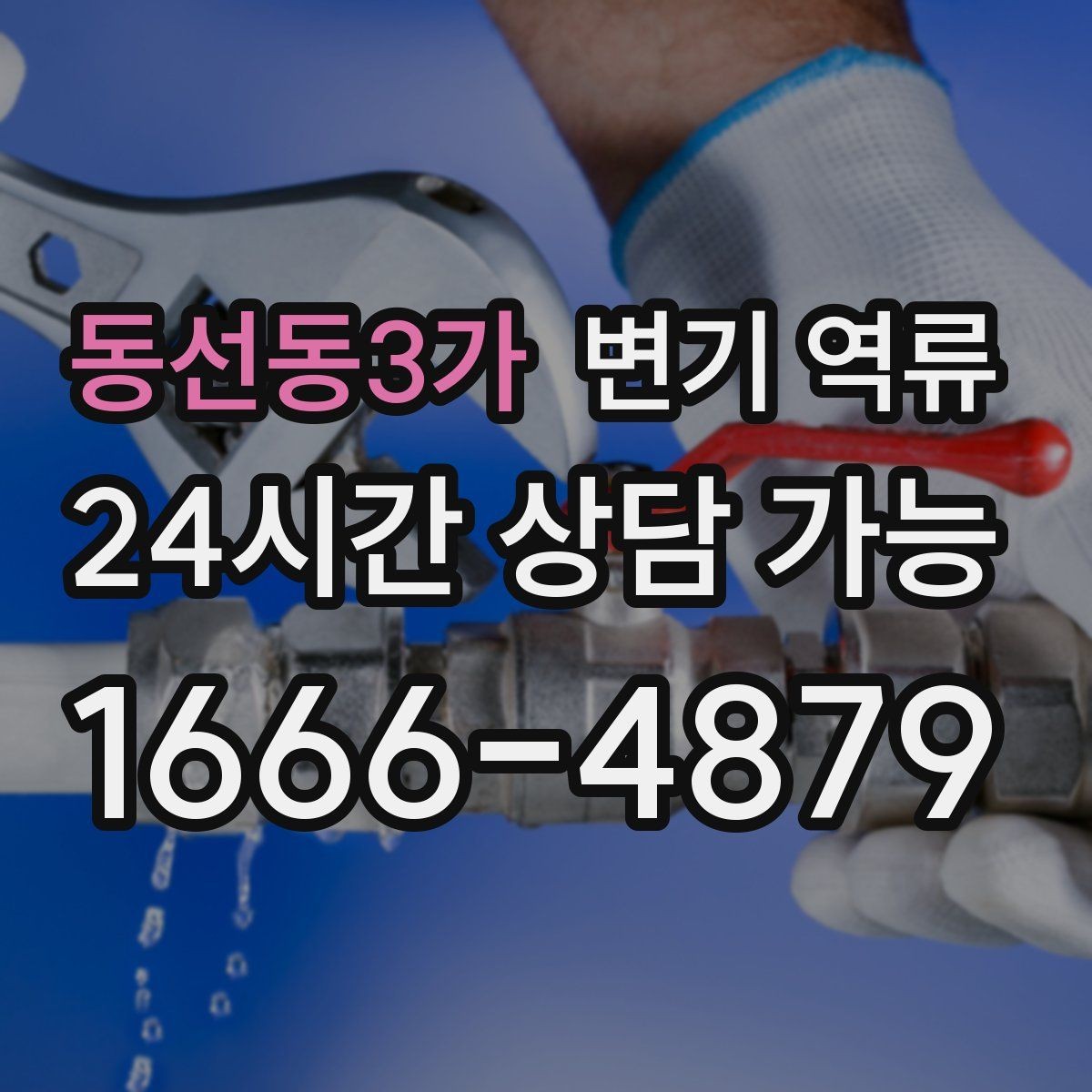 동선동3가 변기 역류 물이 넘치기 직전 보이는 전조 증상