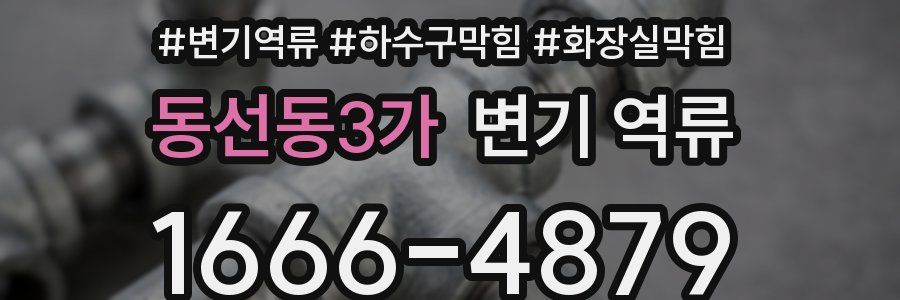동선동3가 변기 역류