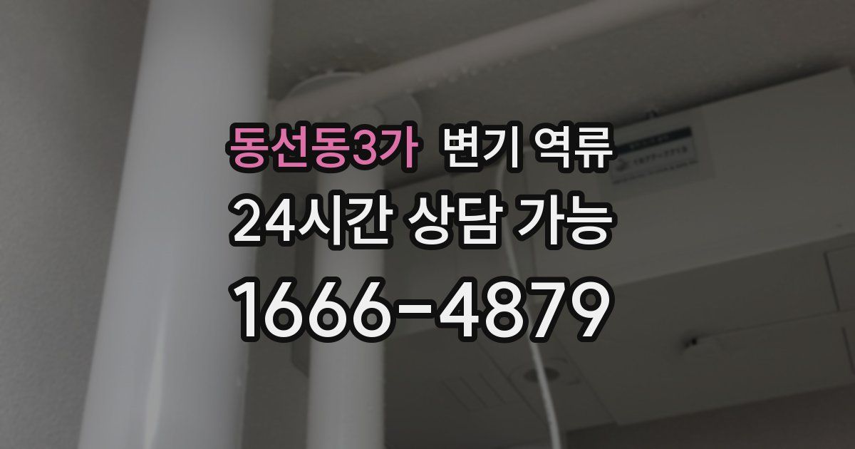 동선동3가 변기 역류