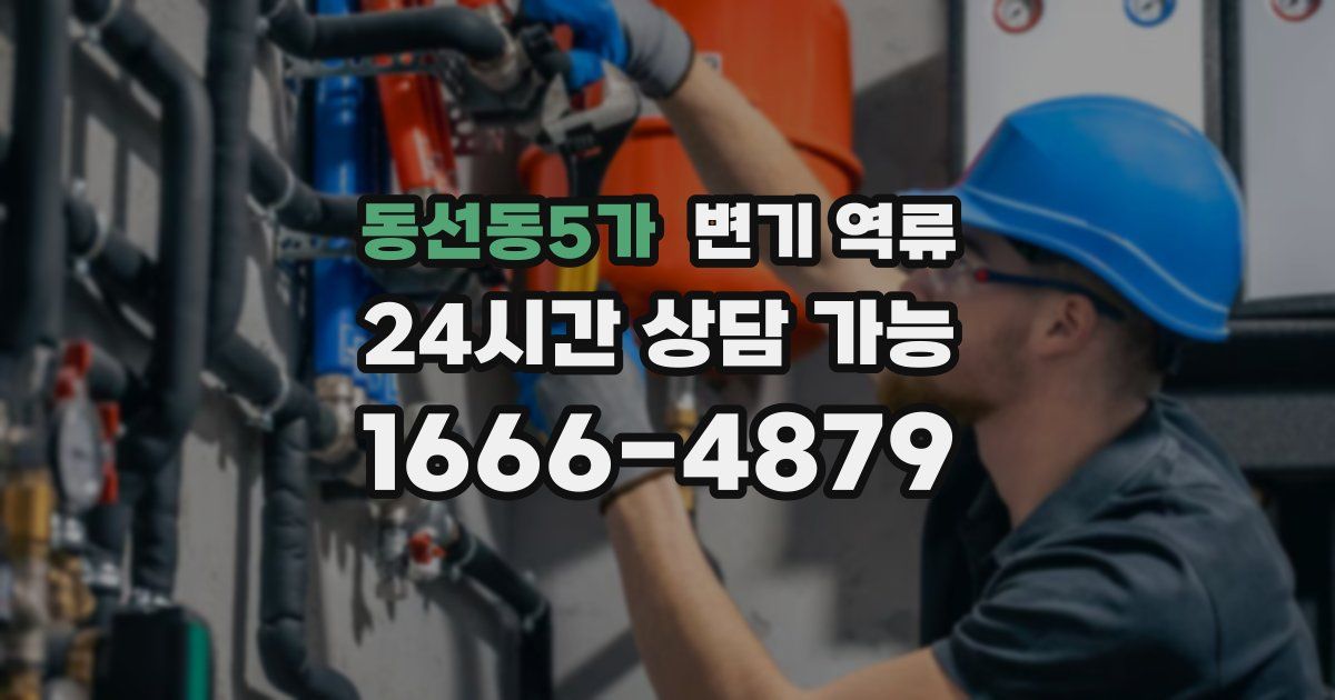 동선동5가 변기 역류