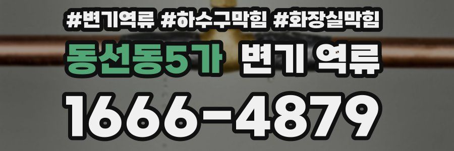 동선동5가 변기 역류