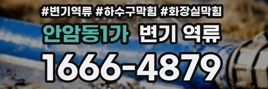 안암동1가 변기 역류