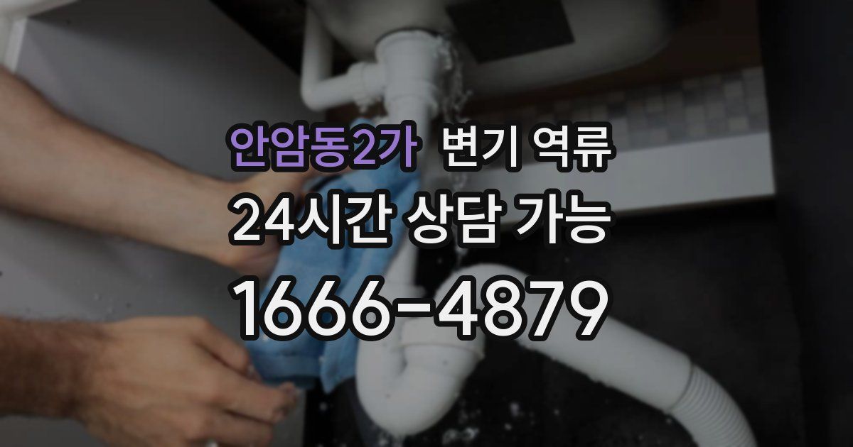 안암동2가 변기 역류