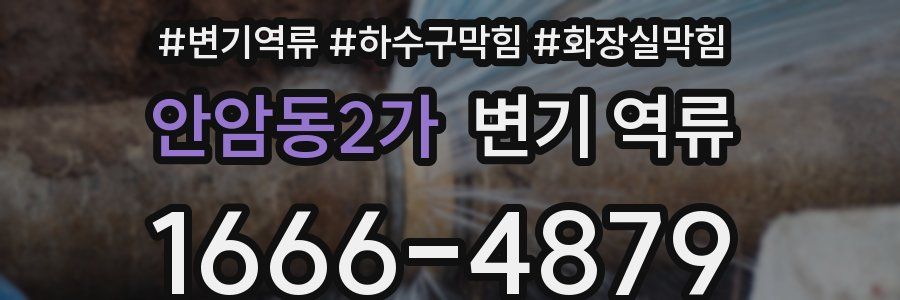 안암동2가 변기 역류