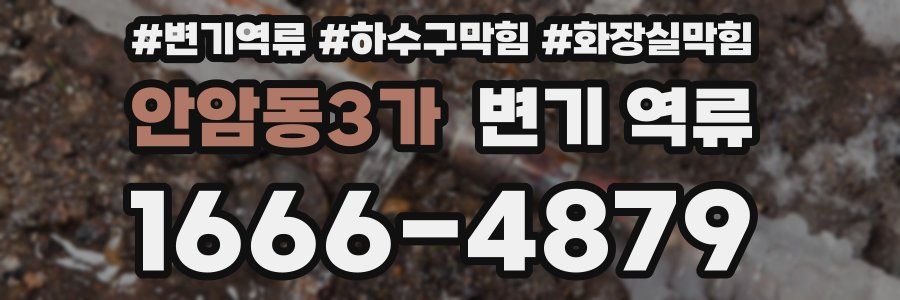 안암동3가 변기 역류