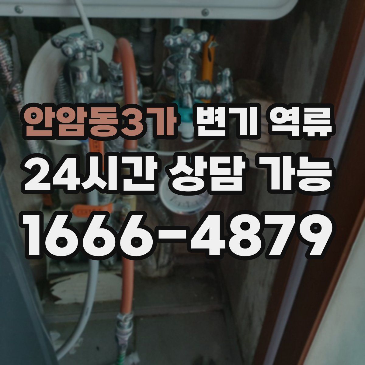 안암동3가 변기 역류