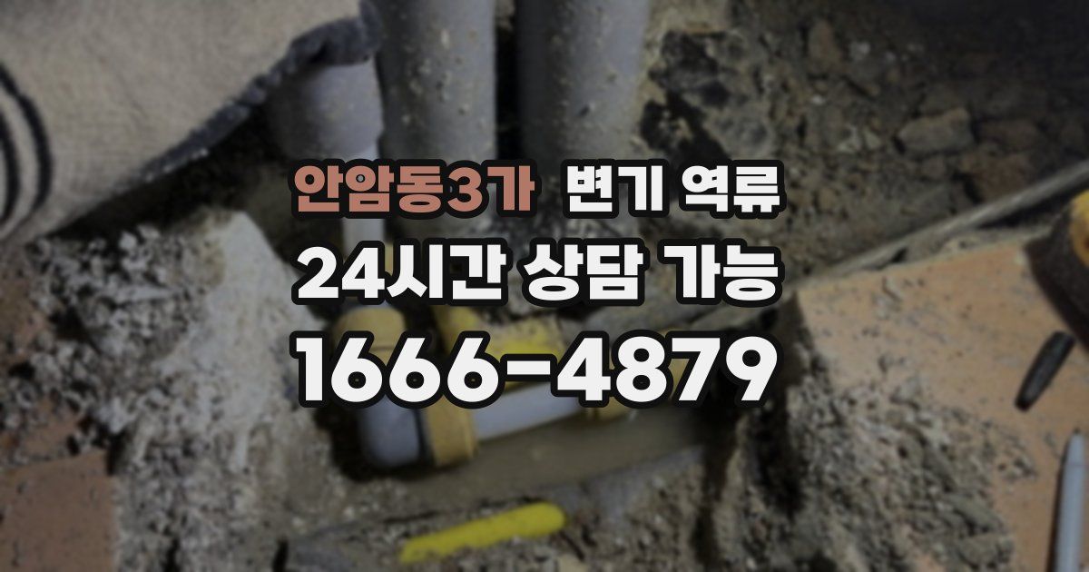 안암동3가 변기 역류