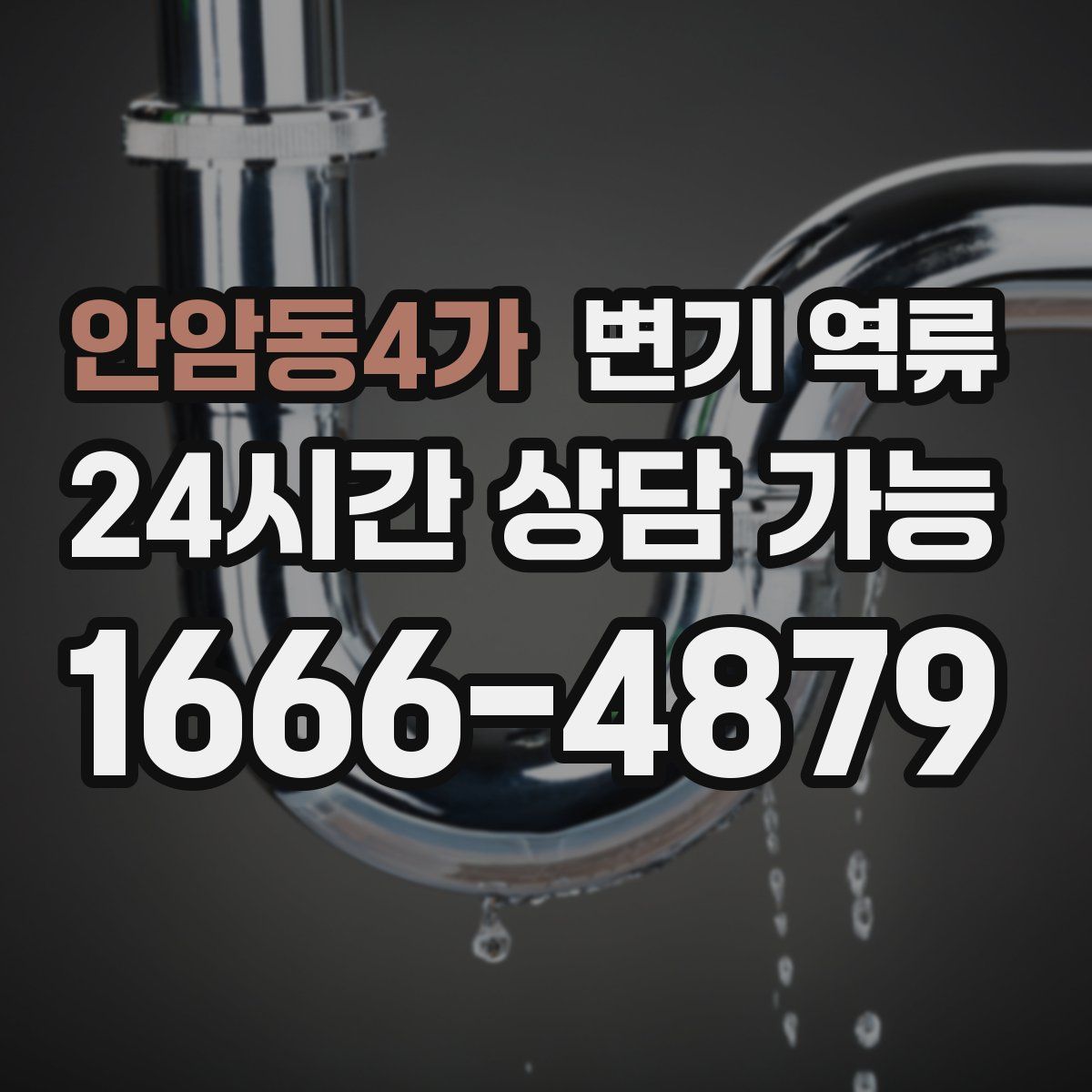 안암동4가 변기 역류