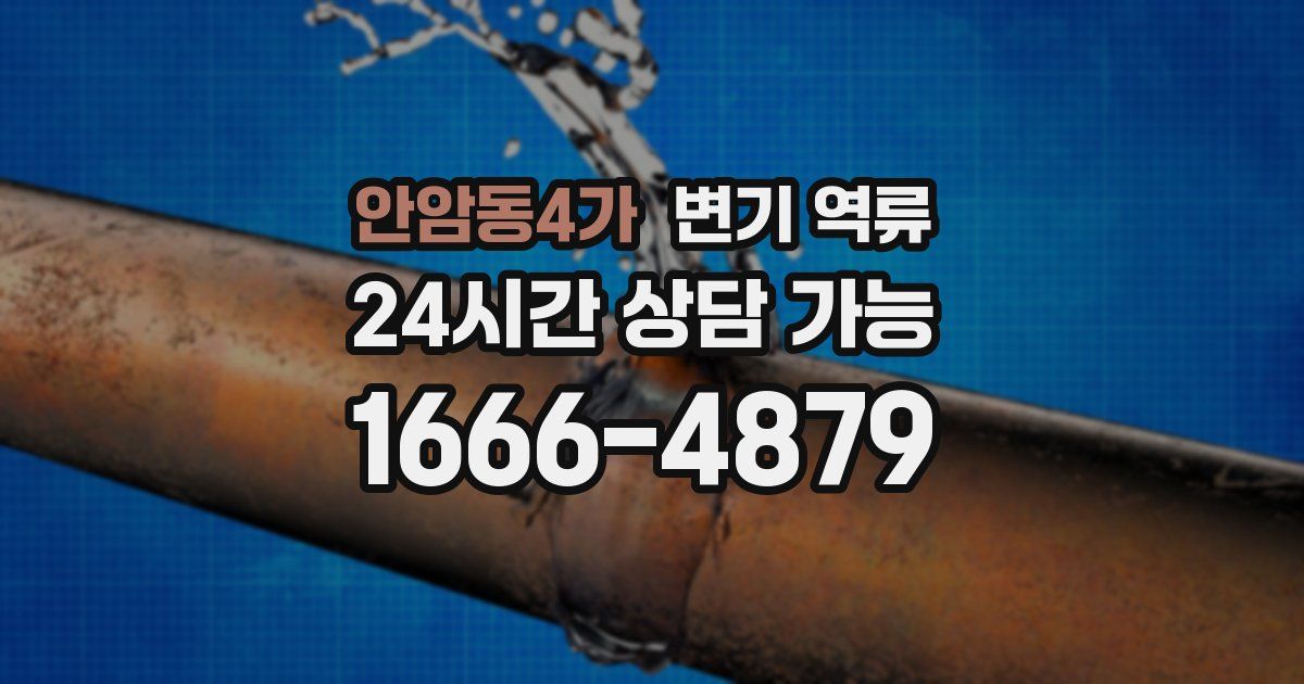 안암동4가 변기 역류