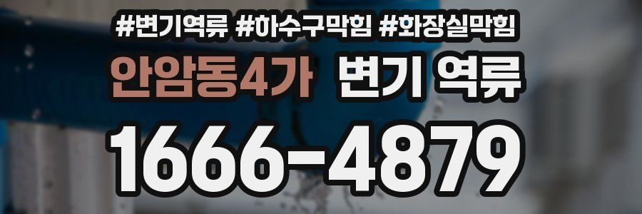 안암동4가 변기 역류