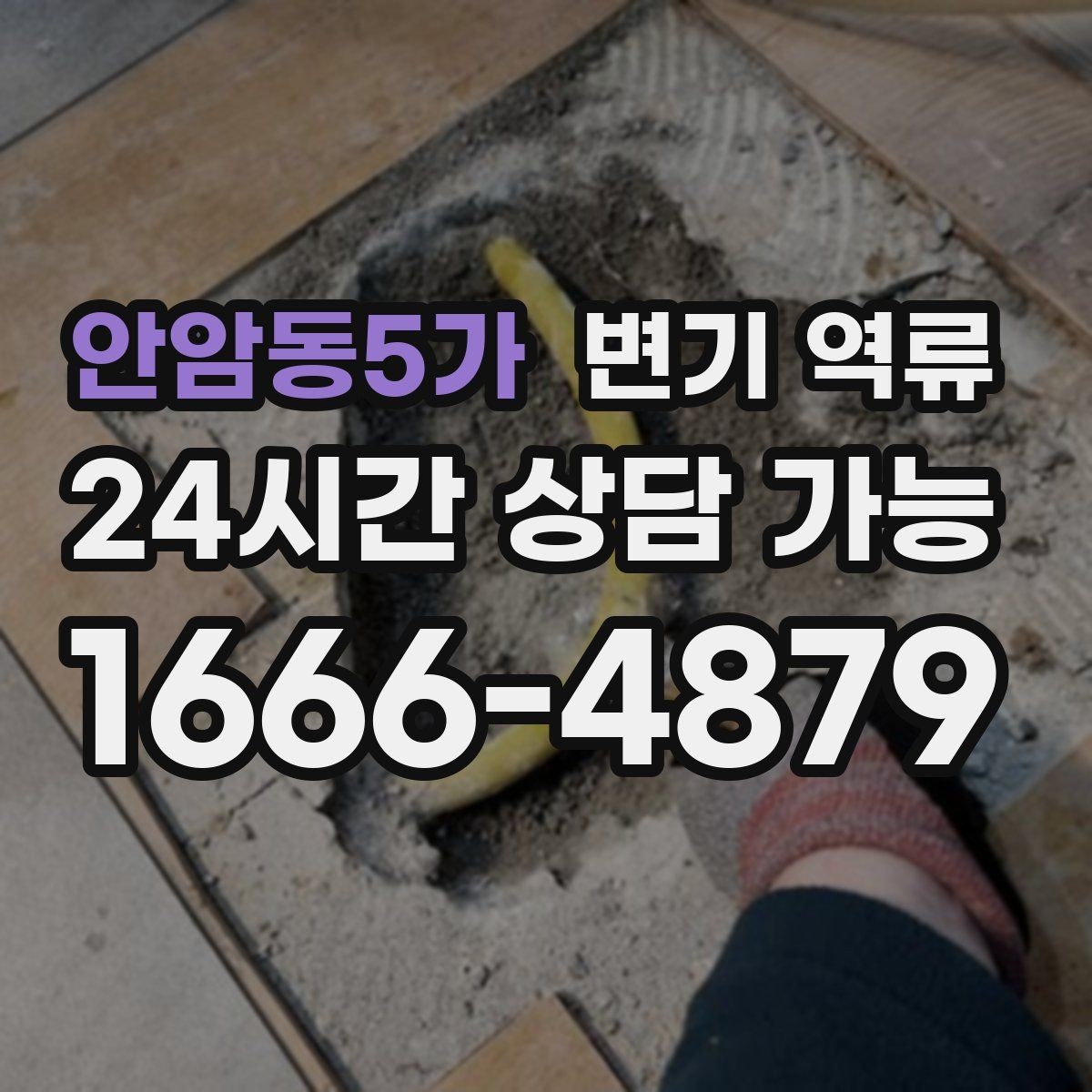 안암동5가 변기 역류 역류량이 많을수록 위험한 이유