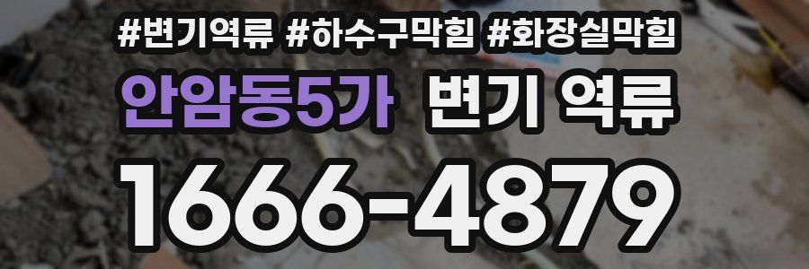 안암동5가 변기 역류