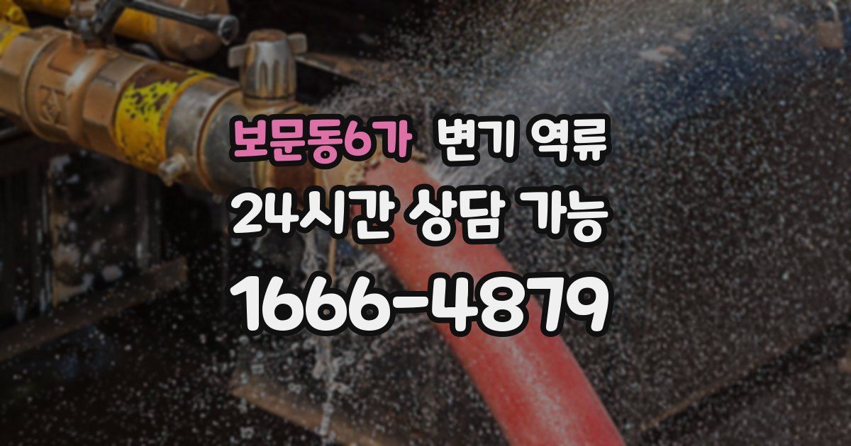보문동6가 변기 역류