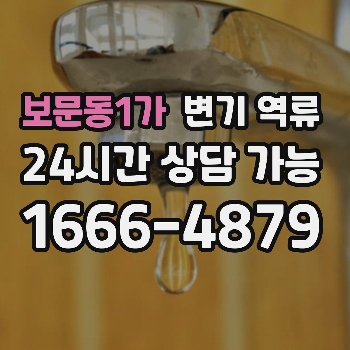 보문동1가 변기 역류