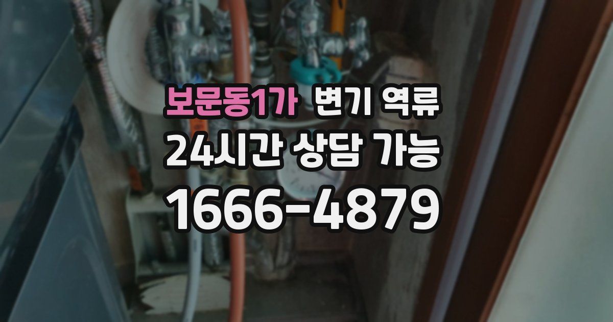 보문동1가 변기 역류
