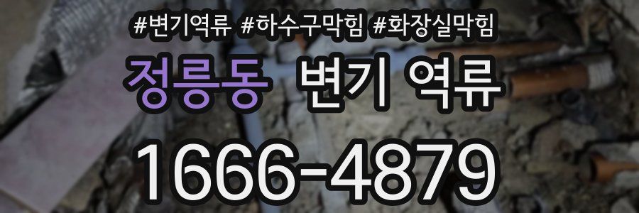 정릉동 변기 역류