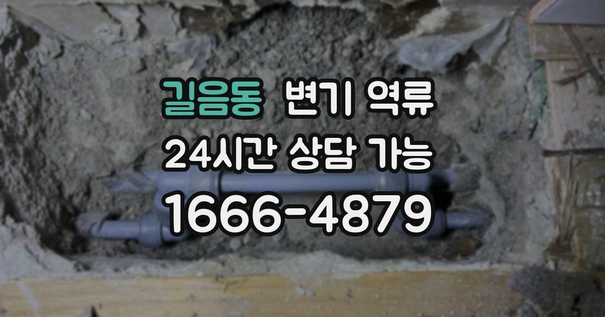 길음동 변기 역류