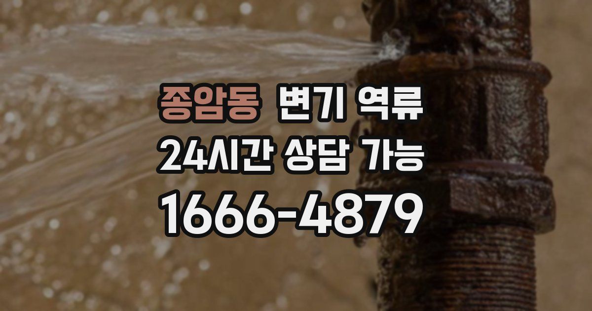 종암동 변기 역류