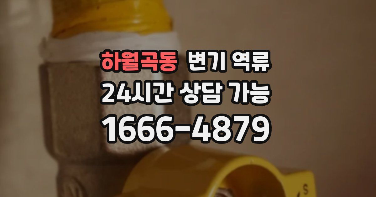 하월곡동 변기 역류