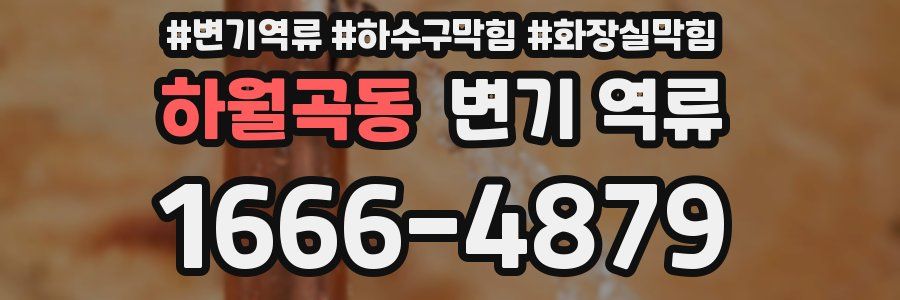 하월곡동 변기 역류