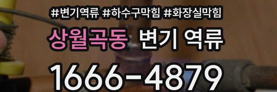 상월곡동 변기 역류