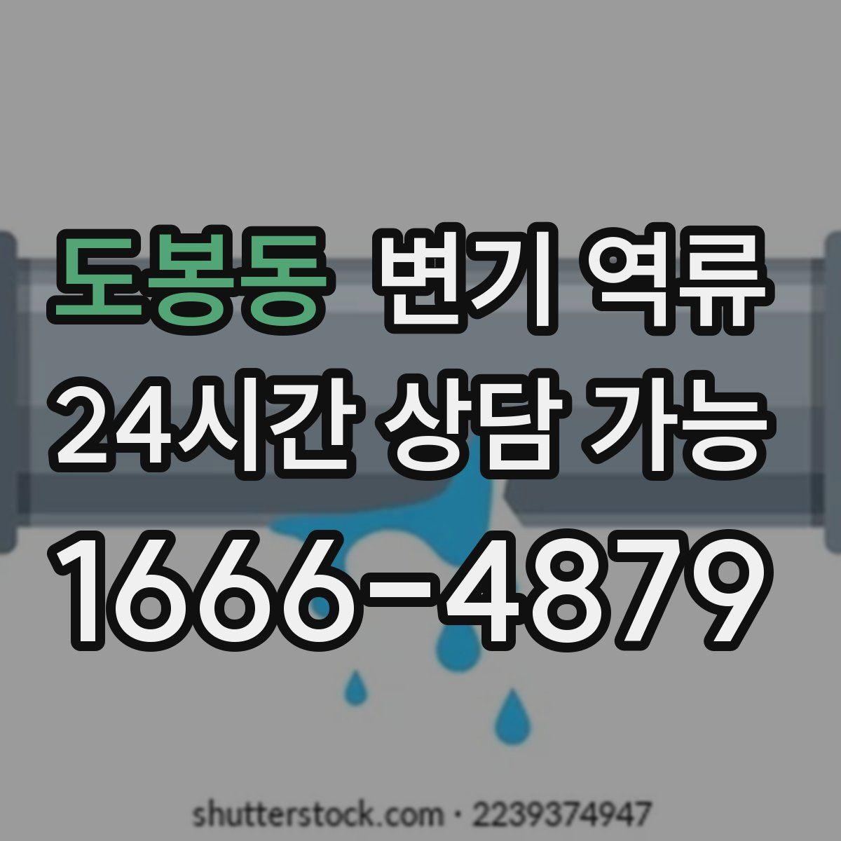 도봉동 변기 역류