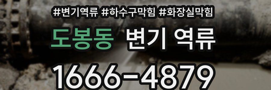 도봉동 변기 역류