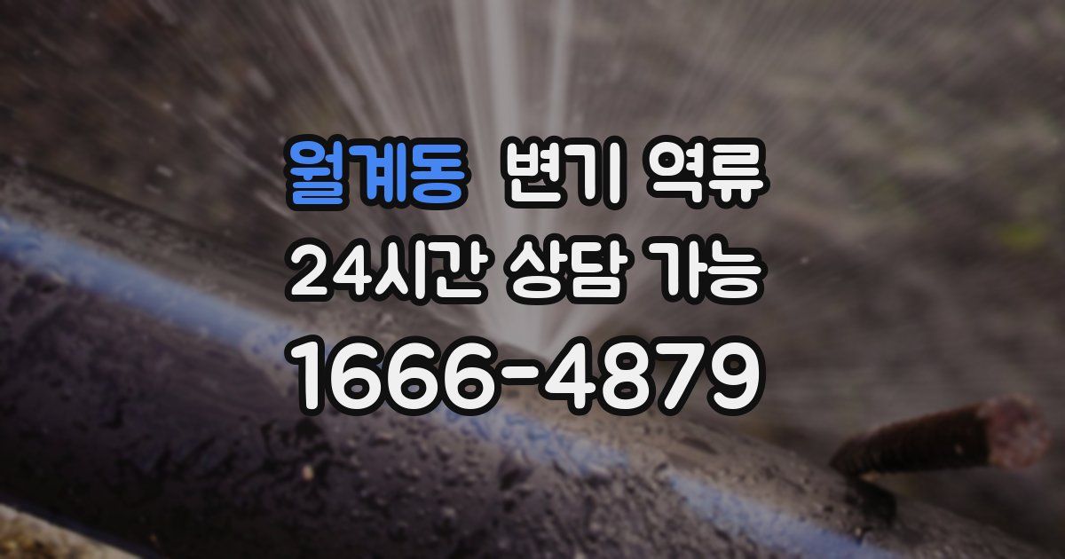 월계동 변기 역류