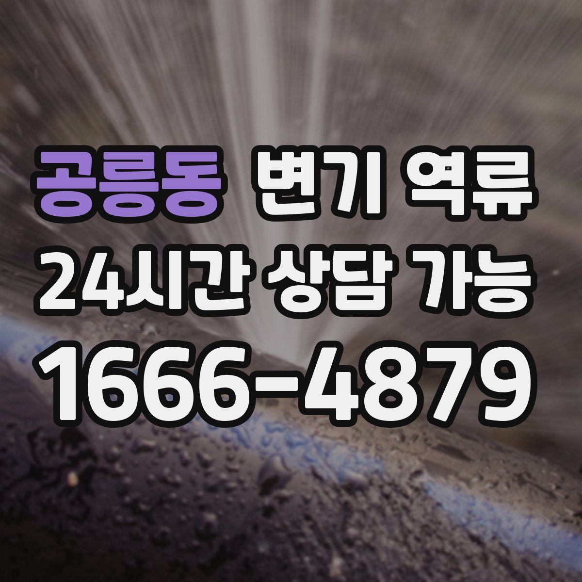 공릉동 변기 역류