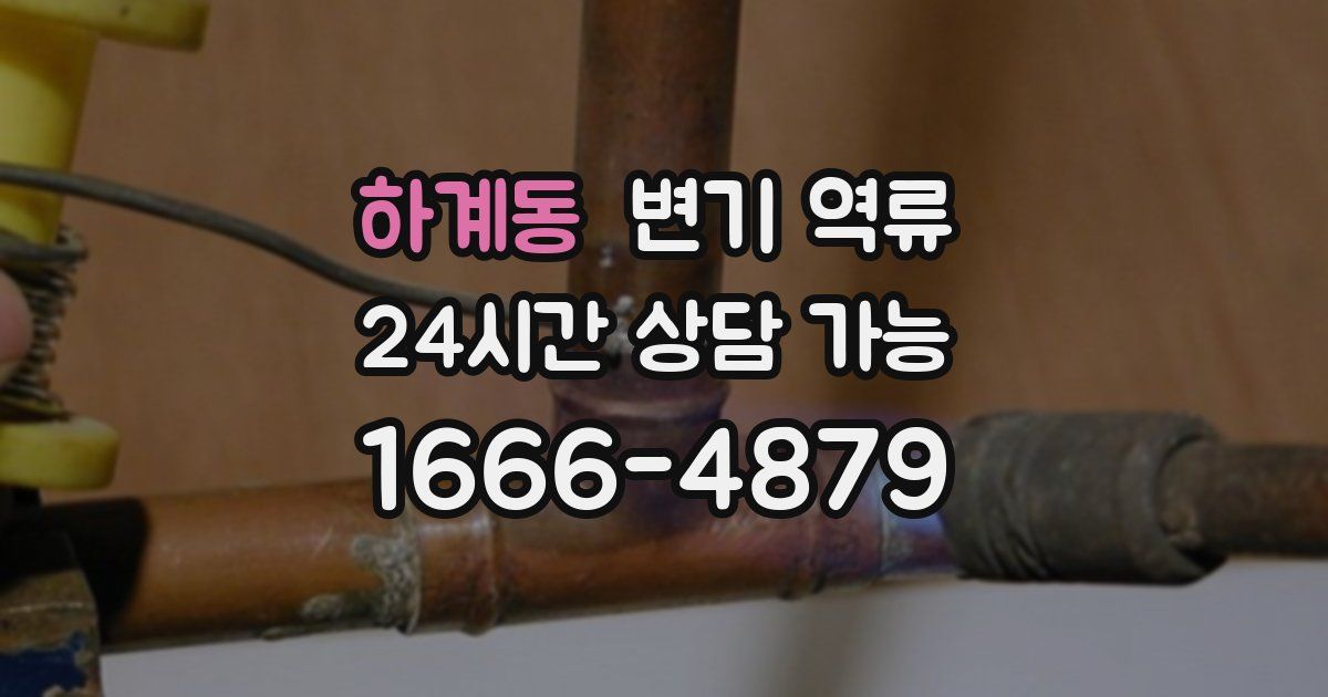 하계동 변기 역류