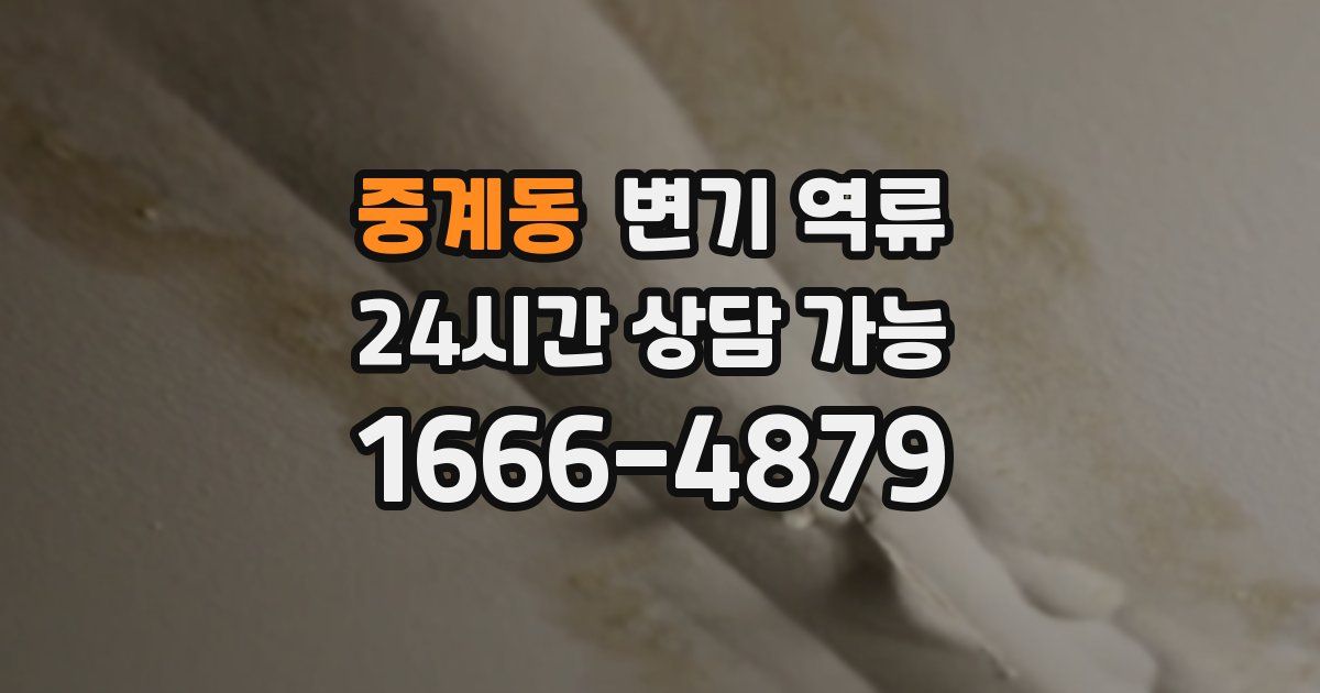 중계동 변기 역류