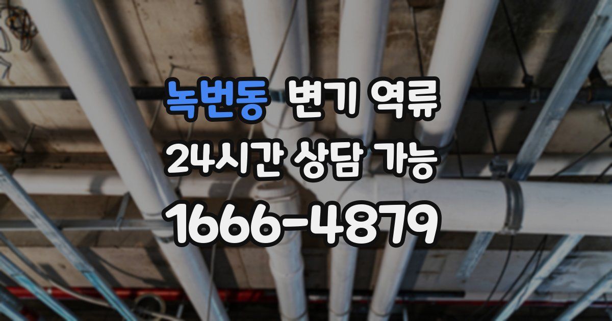 녹번동 변기 역류