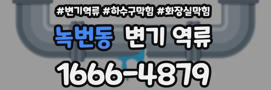 녹번동 변기 역류