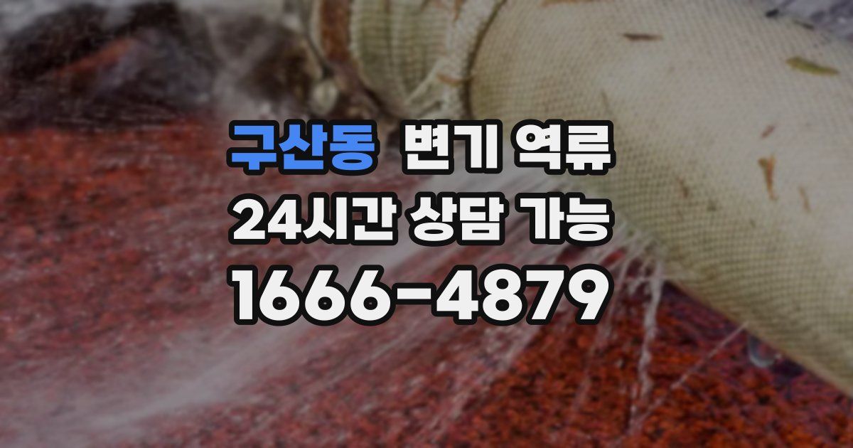 구산동 변기 역류