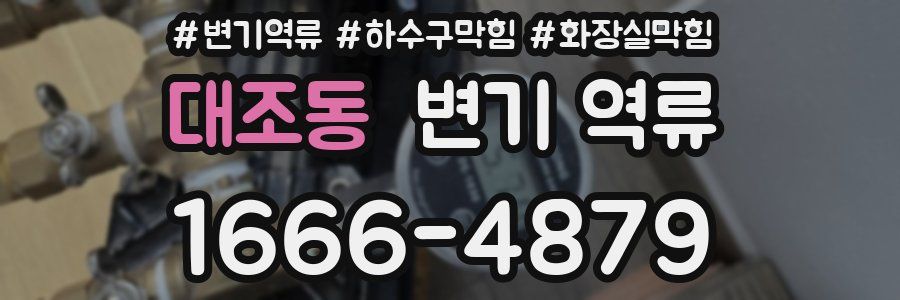 대조동 변기 역류