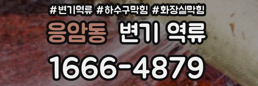 응암동 변기 역류